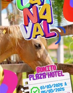 Bonito Hotel | Bonito Plaza Hotel
