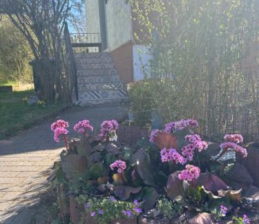 Bosen Apartamento | Bonnys Ferienwohnung