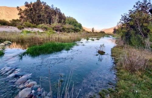 El Molle Apartamento | Borde rio, Eco-Cabaña Jararankhu