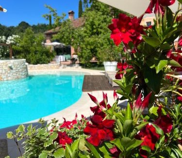 Zugliano Cama Y Desayuno | Borghetto San Biagio Relais Agriturismo