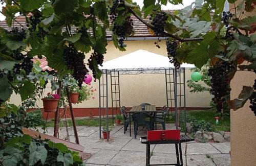 Satoraljaujhely Casa | BORINA VENDÉGHÁZ