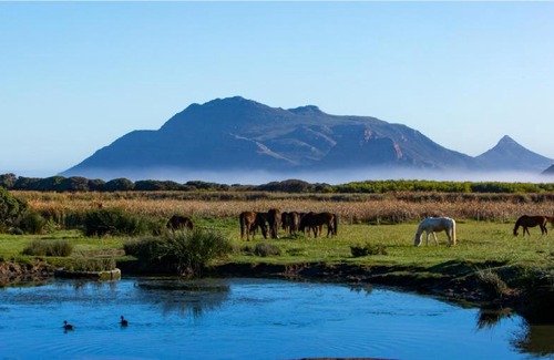 Kommetjie Casa | Born Cottage