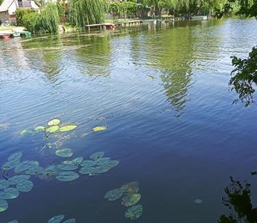 Dunasziget Apartamento | Borostyán Vendégház Dunasziget