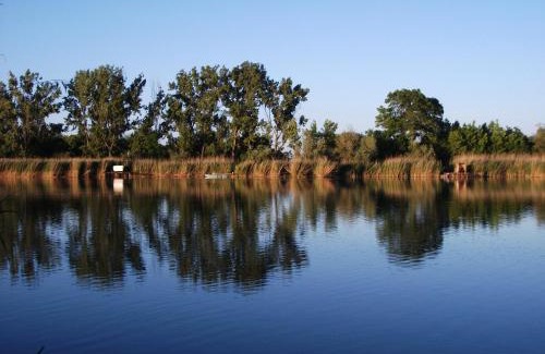 Tiszaug Apartamento | Borostyán Vendégház