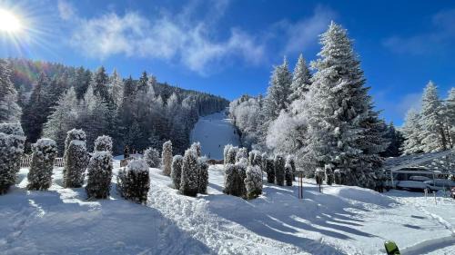 Samokov Apartamento | Borovets Hills Boro Boro Studio 35m2