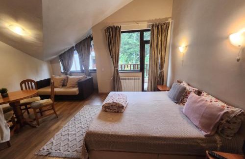 Borovets Apartamento | Borovets Violet by Ski slopes
