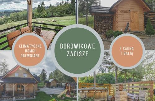 Lapsze Nizne Casa | Borowikowe Zacisze drewniane domy z dostępem do balii i sauny