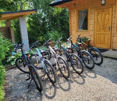 Lapsze Nizne Casa | Borowikowe Zacisze drewniane domy z dostępem do balii i sauny