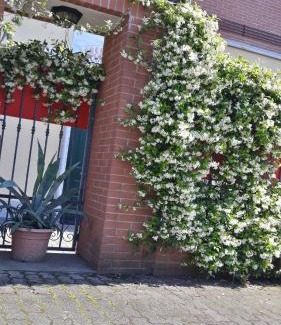 Peschiera Borromeo Casa | Borromeo Residenze Service s.a.s