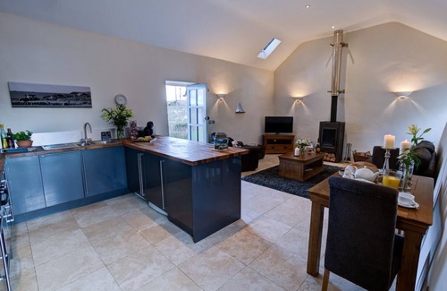 Llanfaethlu Cabaña | Borthwen Bach - a dog that sleeps 2 guests in 1 bedroom