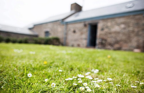 Llanfaethlu Cabaña | Borthwen Bach - a dog that sleeps 2 guests in 1 bedroom