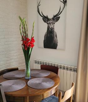 Cekcyn Casa | Borywood