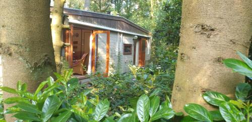 Diessen Chalet De Esquí | Bos-Chalet