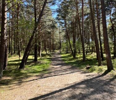 Sztutowo Casa | Bosio nad morze