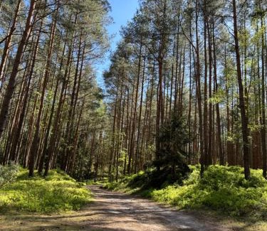 Sztutowo Casa | Bosio nad morze