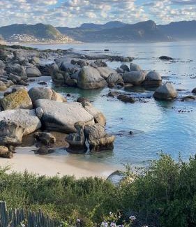 Simon's Town Cabina | Bosky Dell on Boulders Beach