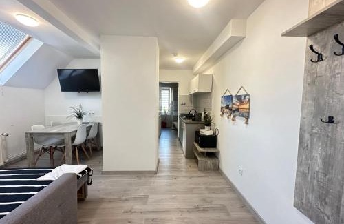 Cetniewo Apartamento | Bosman