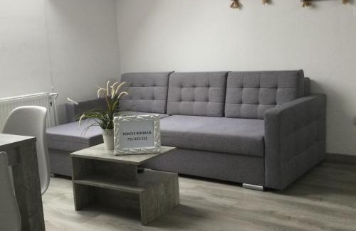 Cetniewo Apartamento | Bosman