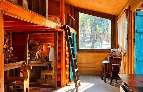 Huasca De Ocampo Cabina | Bosque Érase Una Vez- Unique Cabins in The Forest (pet friendly)