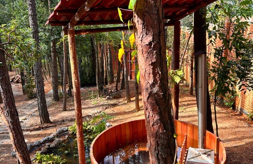 Huasca De Ocampo Cabina | Bosque Érase Una Vez- Unique Cabins in The Forest (pet friendly)