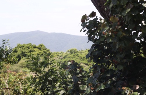 Tepoztlan Cabina | Bosque Geométrico