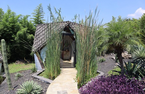 Tepoztlan Cabina | Bosque Geométrico