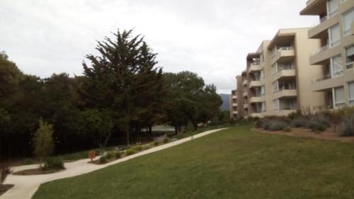 Papudo Apartamento | Bosque Playa Lomas de Papudo 3
