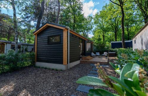 Zuidwolde Chalet De Esquí | Boswilg