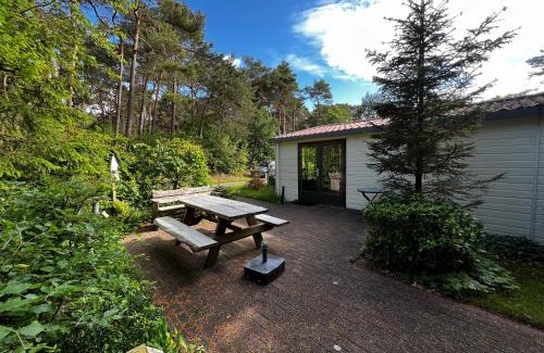Diever Chalet De Esquí | Boszicht