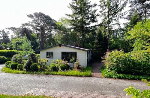 Diever Chalet De Esquí | Boszicht