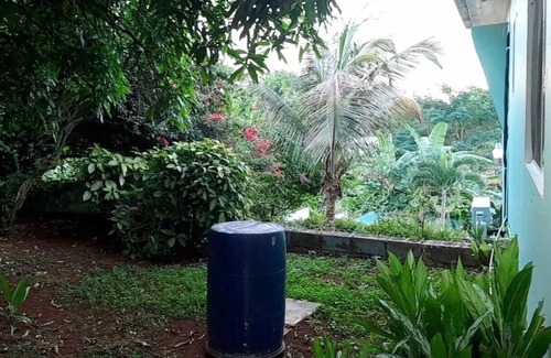 Saint Andrew Casa | Bougainvillea Palms