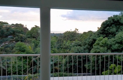 Saint Andrew Casa | Bougainvillea Palms