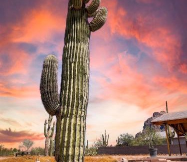 Apache Junction Casa | Boulder Apache Junction