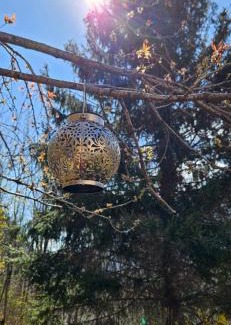Mesocco Cama Y Desayuno | Boutique B&B La Quiete del Bosco - A Plant Based Stay