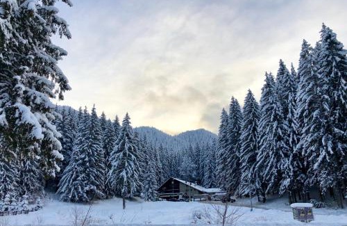 Poiana Brasov Casa | Boutique Hotel Casa Emil