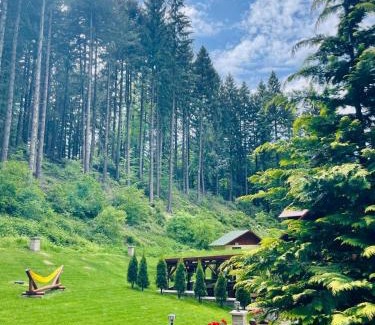 Poiana Brasov Casa | Boutique Hotel Casa Emil