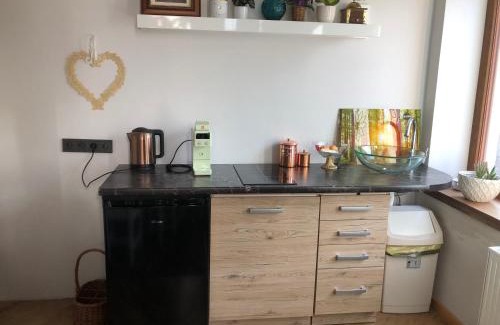 Panevezys Apartamento | Boutique Studija Žibutė