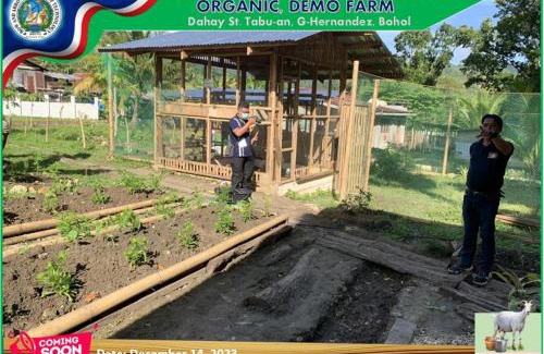 Garcia Hernandez Otro | Bow and Arrow Integrated Organic Farm