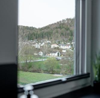 Horb am Neckar Apartamento | BPS Apartment #14 Luxury Penthouse - NEU - Deluxe - Modern
