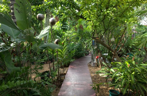Parque Dez de Novembro Casa | Casa Amazônica:
