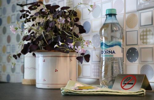 Cluj-Napoca Apartamento | Bran's Apartment