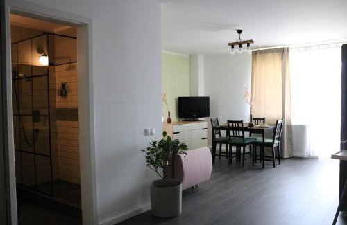 Cluj-Napoca Apartamento | Bran's Apartment