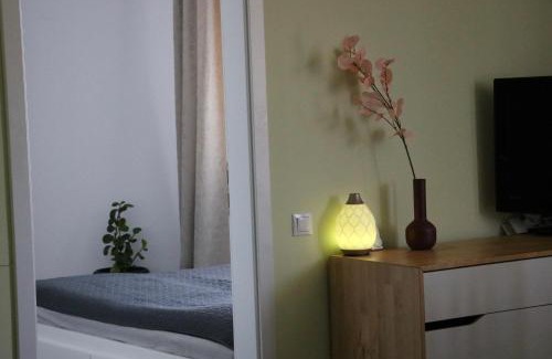 Cluj-Napoca Apartamento | Bran's Apartment