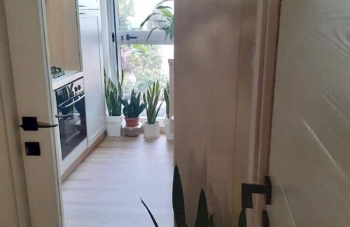 Laerru Apartamento | Brand new house in Sardinia -ultrafast internet