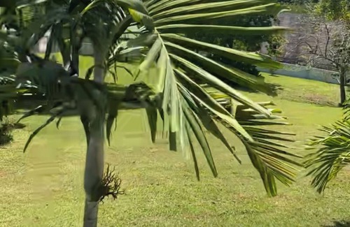 Oracabessa Apartamento | Brand new modern apartment 5 min from beach