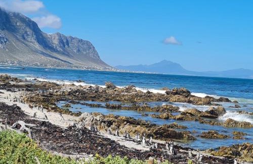 Betty's Bay Casa | Brandys beach house bettys bay