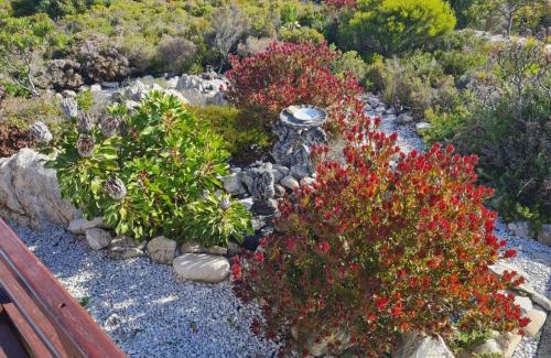 Betty's Bay Casa | Brandys beach house bettys bay