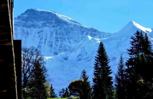 Wengen Apartamento | Breithorn Residence Apt.3 by Interhome