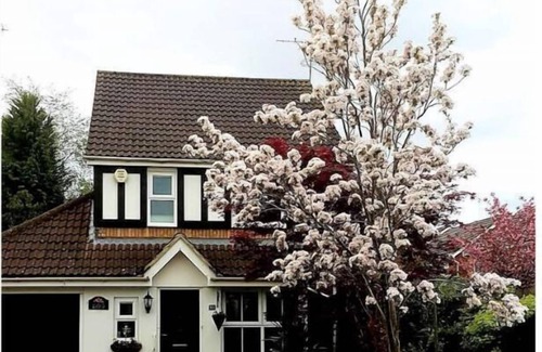 Watford Casa | Bright, airy room commuting distance to London 1 bedroom and 1 bathroom only