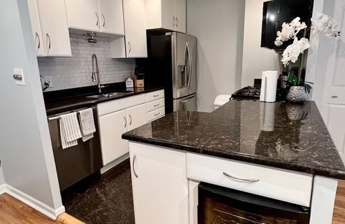 Park West Apartamento | Bright & Spacious Lincoln Park Gem – Sleeps 9!